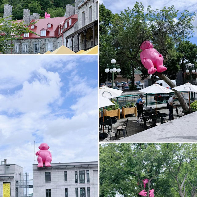 加拿大旅遊