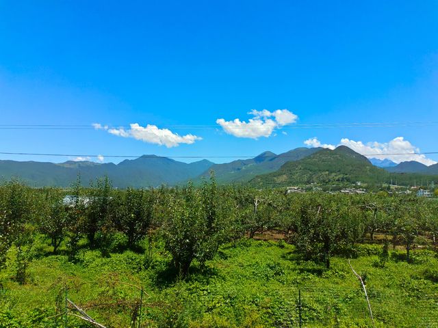 拉市海茶馬古道