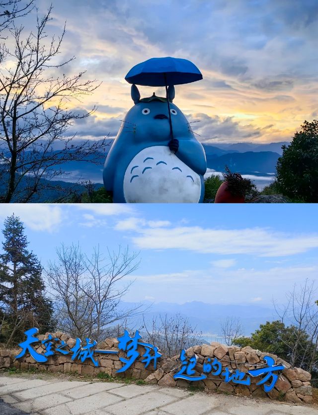 台州度假|誤入宮崎駿筆下的天空之城