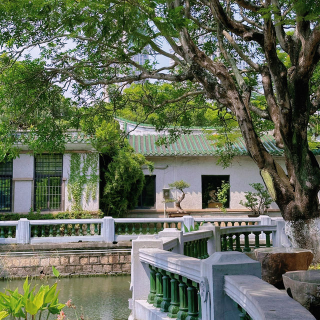 「中山公園」：免費入場，中式風格庭院，還有動物園和相親角