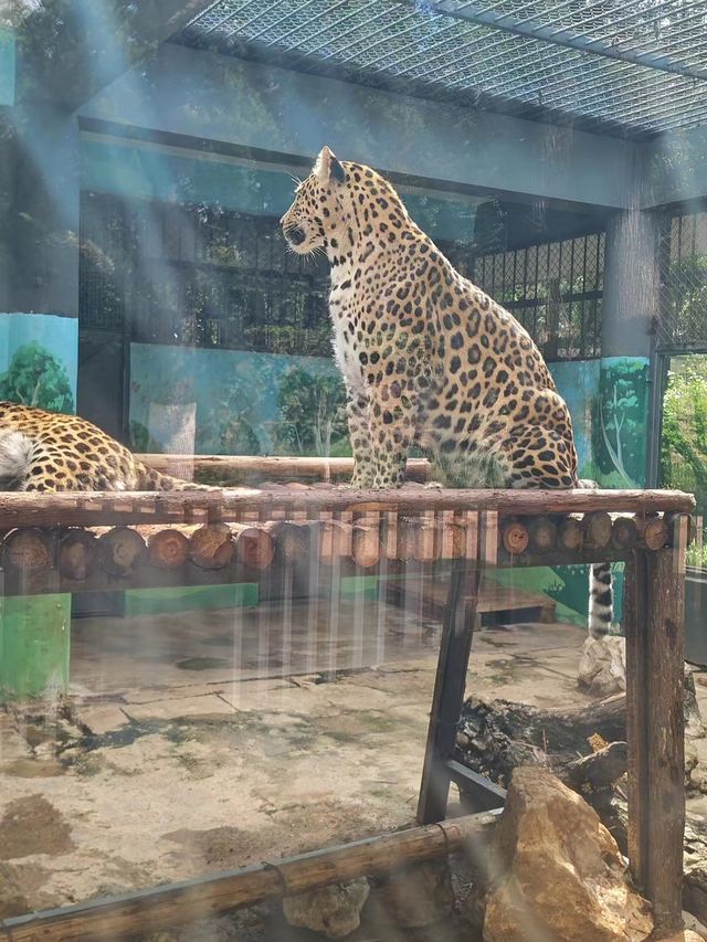 昆明圓通山動物園