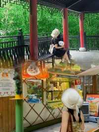 探索長沙,一天盡享文化與美食之旅!