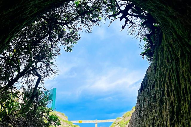 【探索南島風情】但尼丁——新西蘭的蘇格蘭靈魂。。