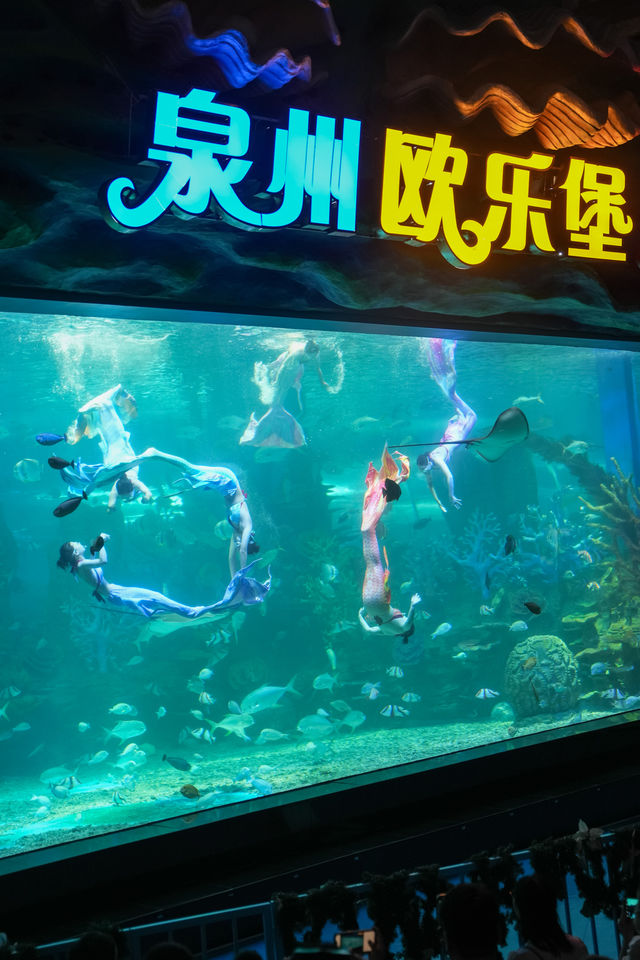 廈門周邊遊泉州歐樂堡兩日一夜親子遊攻略。