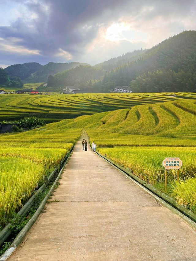 宮崎駿漫畫世界，這裡全都有。