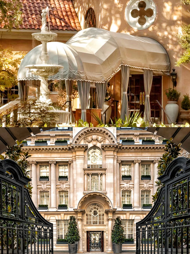 "達拉斯貴婦"瑰麗無與倫比的高貴與奢華。 "達拉斯貴婦"瑰麗無與倫比的高貴與奢華。