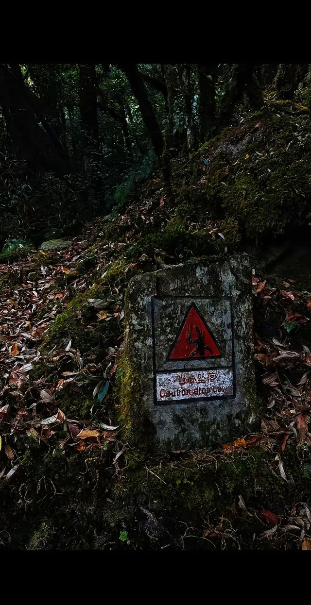 雲南哀牢山。