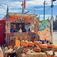 Spooky Halloween Attractions In the Haunted house