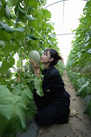 Lesser-Known Travel Destination in Ledong | Fuluo Town Melons