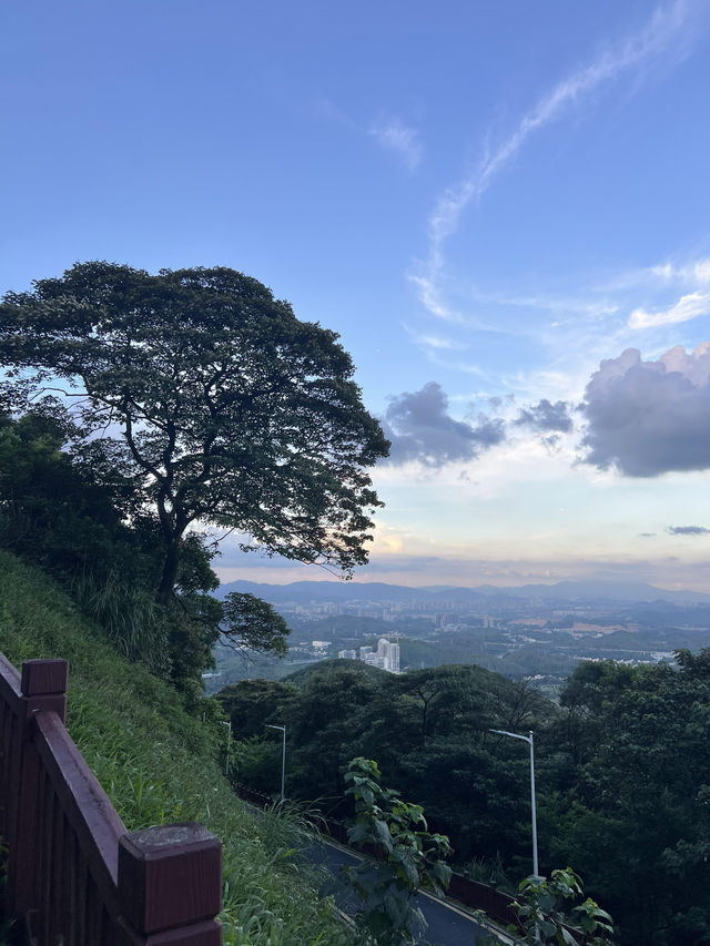 廣州｜ 黃埔油麻山森林公園。