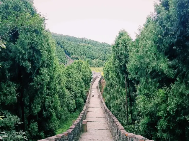 금룡장성 티켓 할인, 운영 시간, 후기 [2025년] | Trip.com