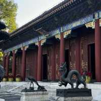 Enjoying the fresh Autumn air at The Summer Palace 🏯