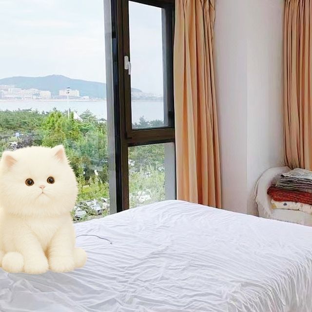 北海！市中心！剛剛退房！捨不得走！。