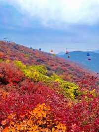 答應我，北京的秋天一定要來一趟坡峰嶺。