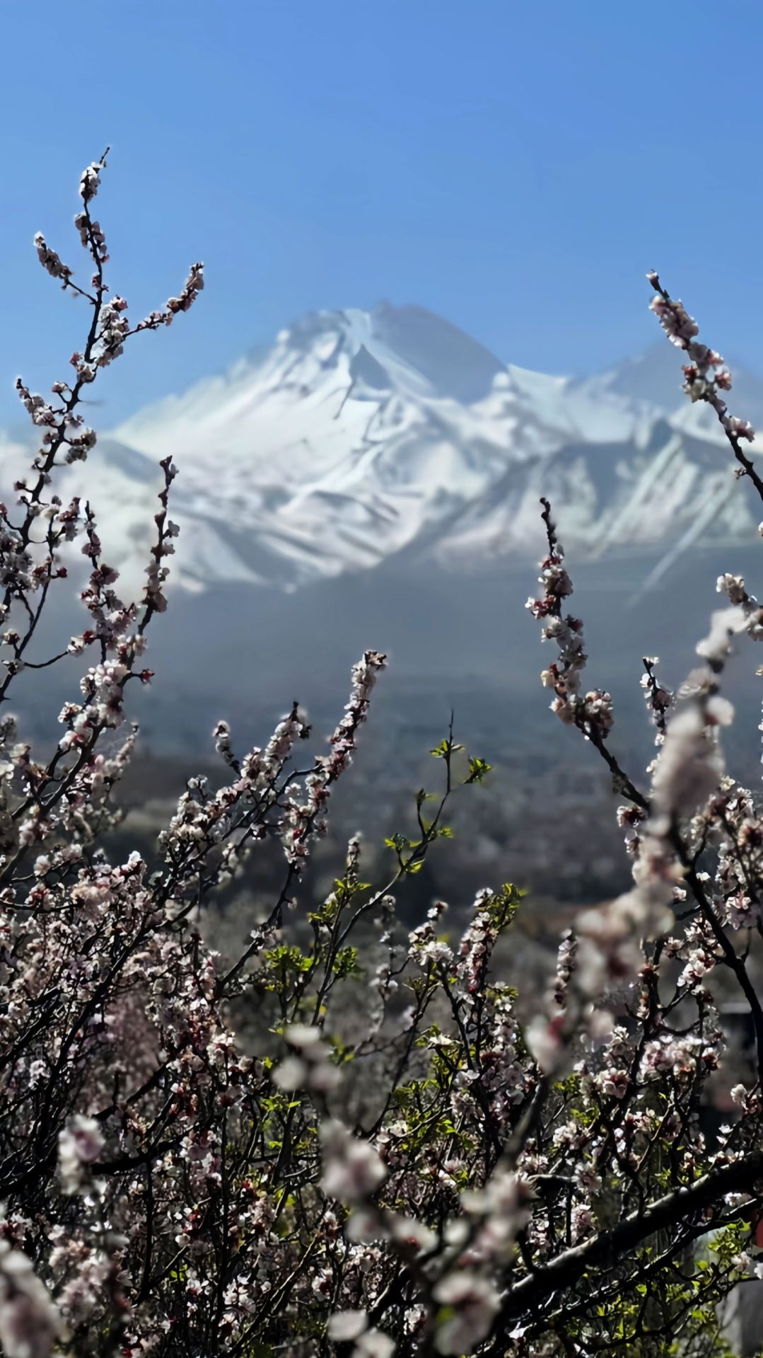 This isn't Mount Fuji, it's Turkey. 
