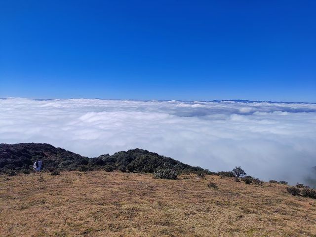 鳥吊山，一個被遺忘的仙境。