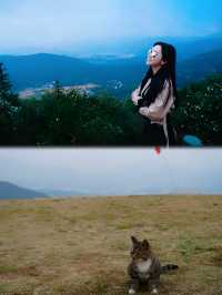 塔川賞秋別忘來這宏村旅遊來這最值得。