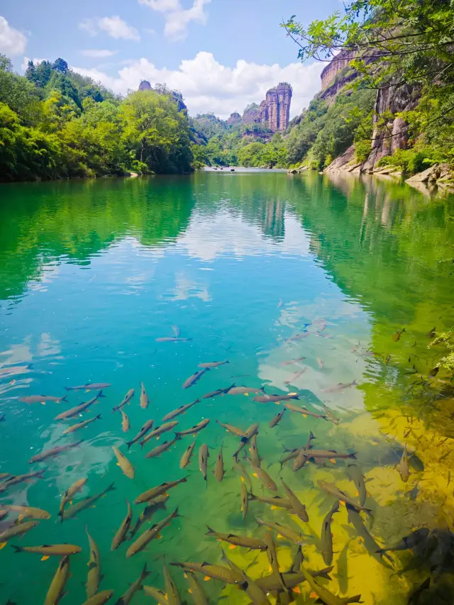 4-Day Autumn Trip to Wuyi Mountain: A Complete Guide
