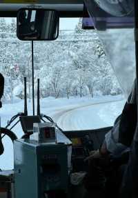 Experience the Enchanting Snowy Wonderland of Japan