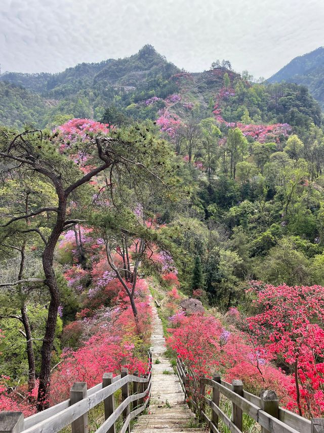 岳西2日遊 看這裡不來你會後悔的。