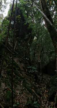 海南深山大環線徒步·瓊中白馬嶺1-4峰連穿。。