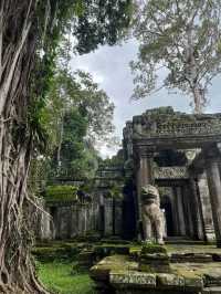 Siem Reap: My New Happy Place at Angkor Wat