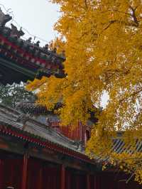 北京最神秘寺院？1年只開14天的承恩寺。