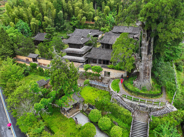 隱匿深山之中的幽靜古剎，時思寺