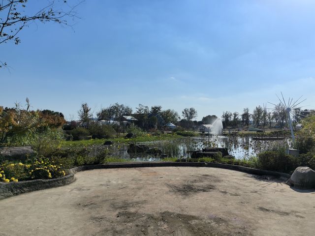 九龍灣花星球，邂逅浪漫花海奇境 