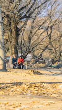 呼和浩特的青城公園冬天，美如畫卷般（附攻略）