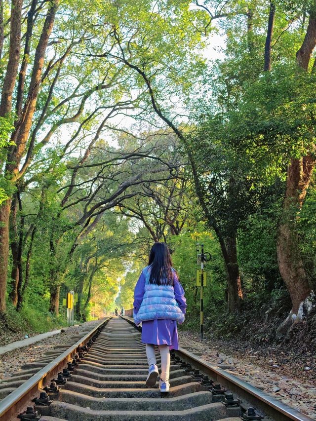 深圳周邊遛娃 | 兩天一夜韶關遊詳細攻略