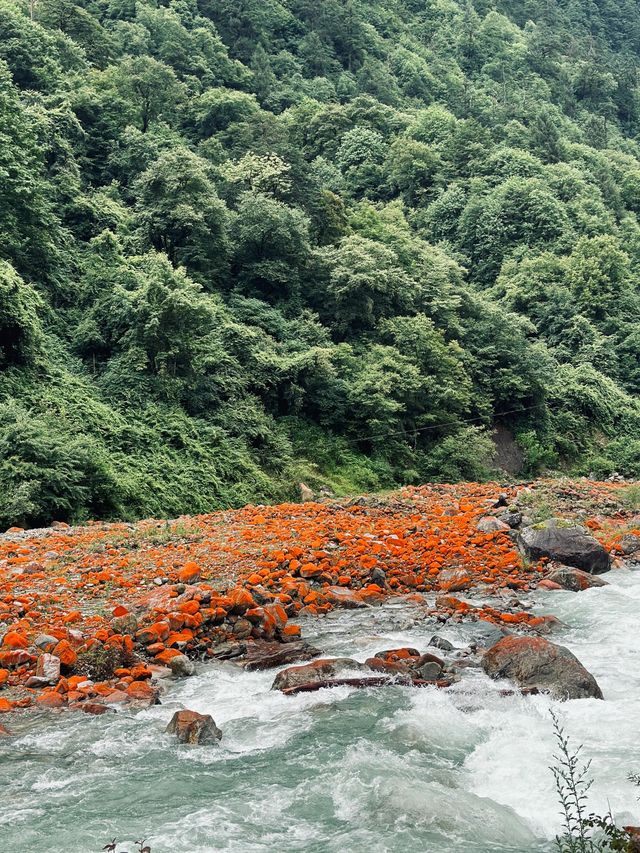 河南鄭州-洛陽-開封6日遊|超詳細攻略 趕緊記下