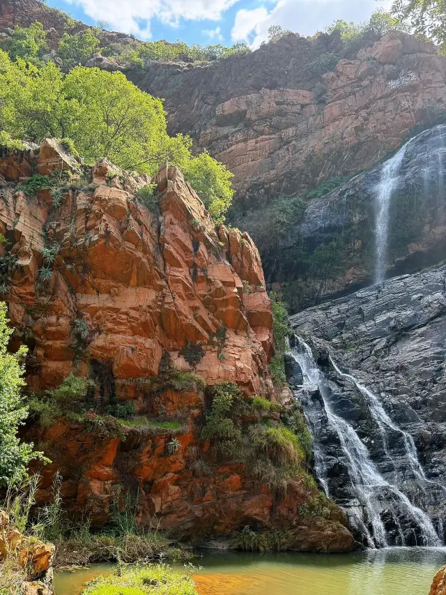 8-Day South Africa Tour: Detailed Guide