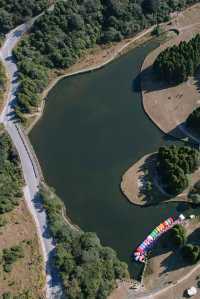 廣西玉林小眾森林公園，仿若來到北歐「森系秘境」