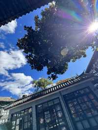 來麗江，住這樣的民宿，反正我滿足了