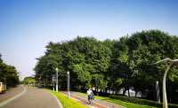 順德區景觀公園 | 親子週末好去處