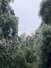 廣西貴港平天山|廣西阿勒泰