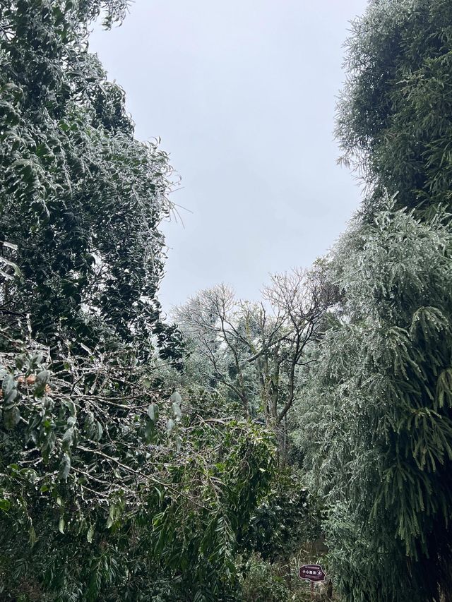 廣西貴港平天山|廣西阿勒泰