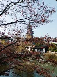 蘇州第三十九園