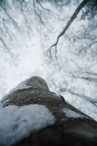 徒步林海雪原我又發現了一個日本秘境