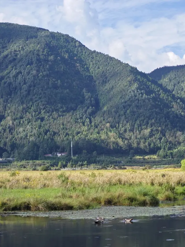 寒假要去雲南芒市-騰沖-瑞麗 美哭你的旅行地