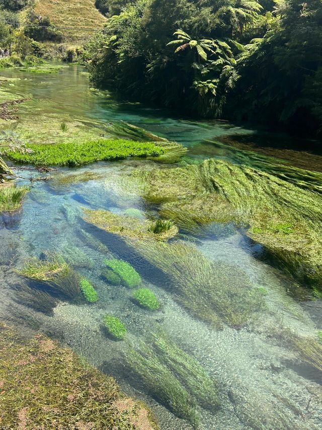 "北島藍泉：與純淨藍色親密接觸的完美攻略"