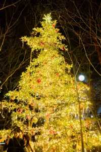 Experience the Magic of Christmas at Karuizawa Kogen Church