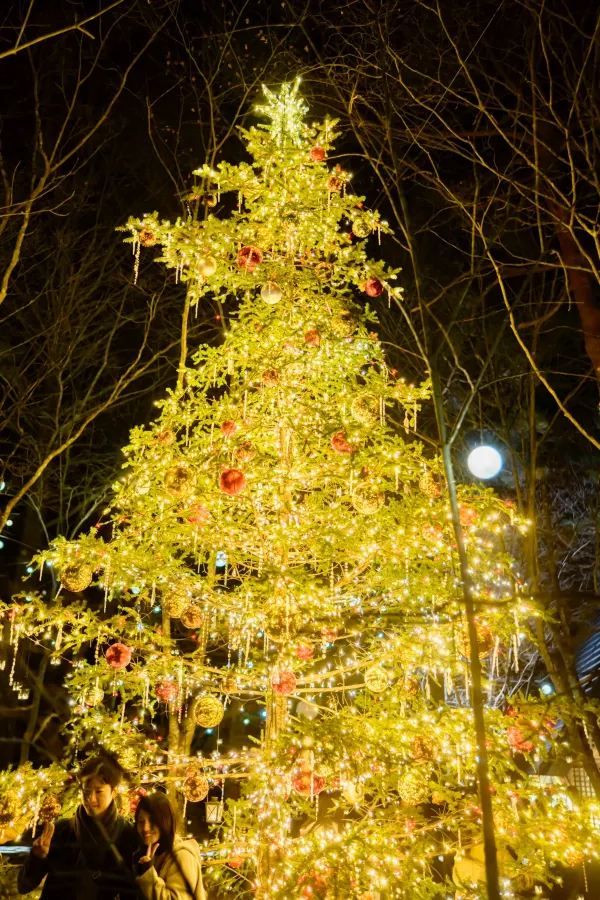 Experience the Magic of Christmas at Karuizawa Kogen Church