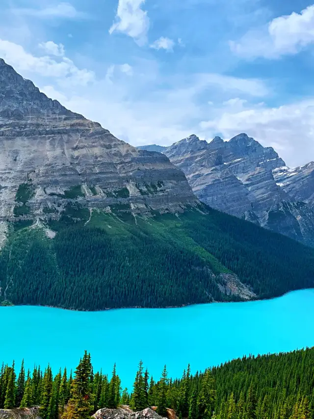 캐나다 5일 여행 전국을 완벽하게 즐기기