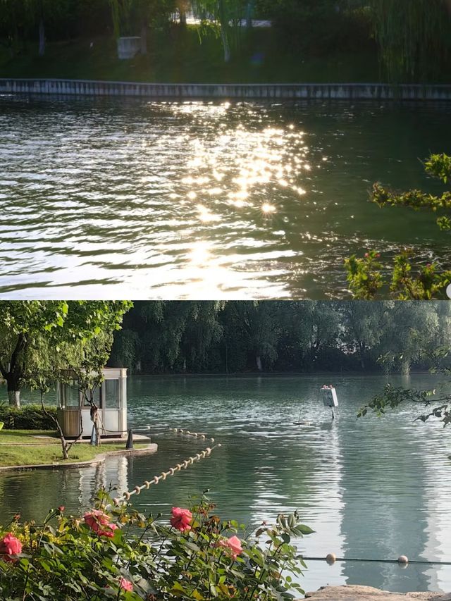 成都公園/週末遛娃露營好去處