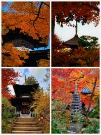 京都·常寂光寺「伏在山坡的美人」體驗和服之美