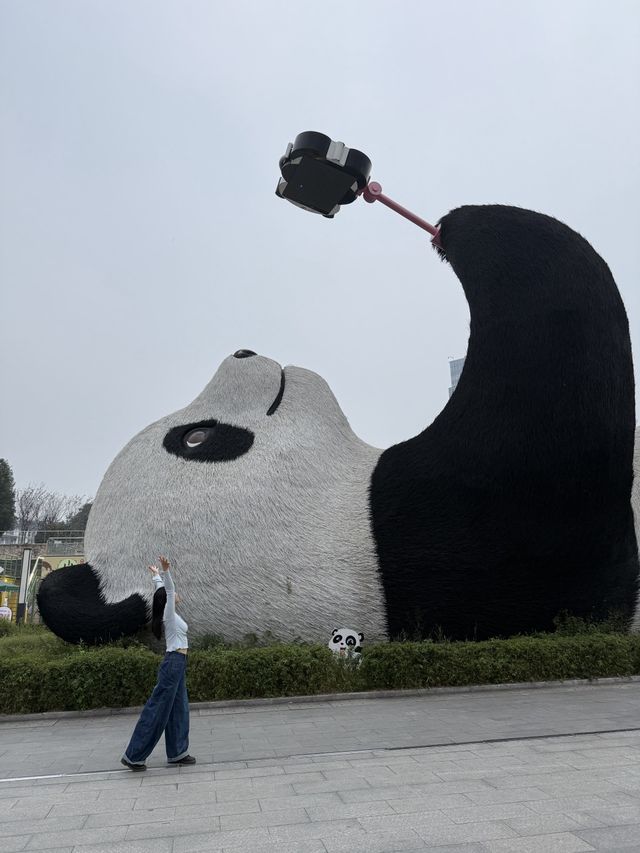 帶娃去了成都8次 攻略已經整理好別踩坑了。