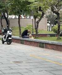 石灣公園：嶺南水鄉的藝術明珠