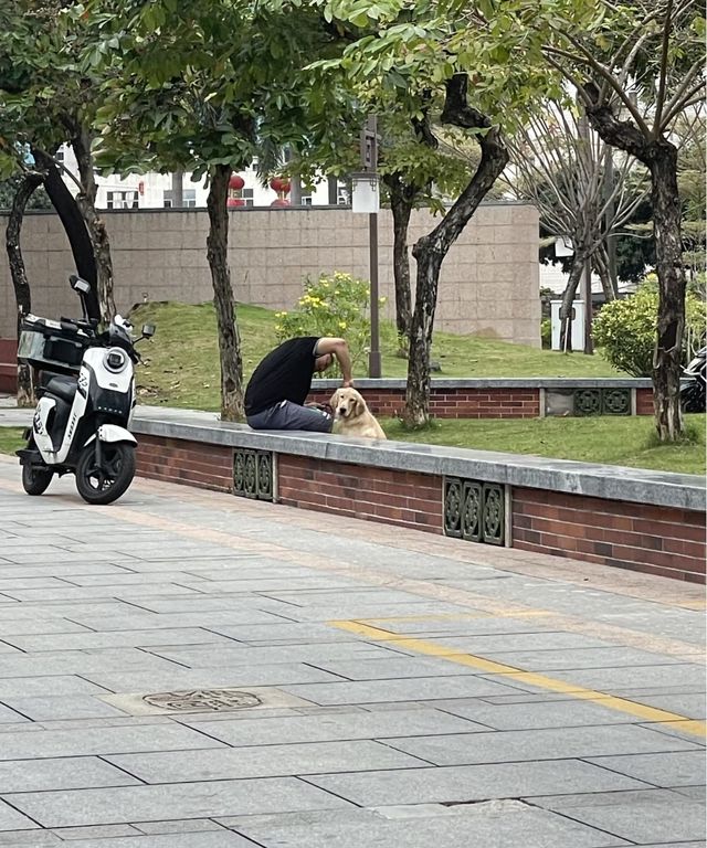 石灣公園：嶺南水鄉的藝術明珠